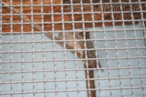 IMG_0718_r